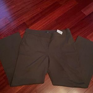 Loft Julie trouser size 14 NWT